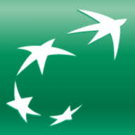 Logo BNP Paribas Securities (Singapore) Pte Ltd.