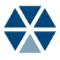 Logo ASI Government, Inc.
