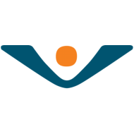Logo Virtuos China Ltd.