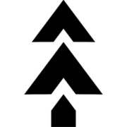Logo International Wood LLC