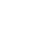 Logo Blue Marble Investments LLC