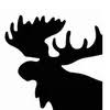 Logo CAMP-of-The WOODS