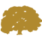 Logo Bronzeoak Clean Energy, Inc.