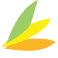 Logo Element Care, Inc.
