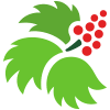 Logo SouthEast Alaska Regional Health Consortium