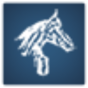 Logo Village Realty Holdings LLC