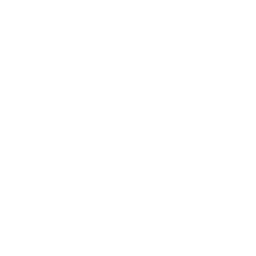 Logo Birmingham Civil Rights Institute