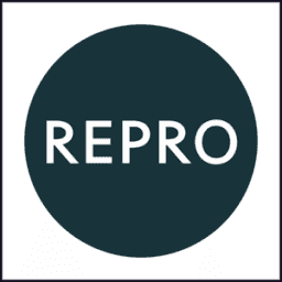 Logo The Center for Reproductive Rights, Inc.