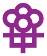 Logo Women in Transition, Inc.