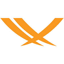Logo Valiant Solutions LLC