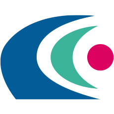 Logo SRG Global, Inc.