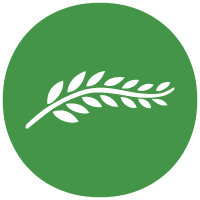 Logo International Cemetery, Cremation & Funeral Association