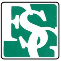 Logo Financial Standards Group, Inc.