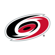 Logo Hurricanes Hockey LP