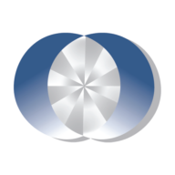 Logo Synergy Insurance Group
