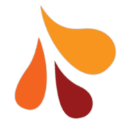 Logo American Academy of Hospice & Palliative Medicine