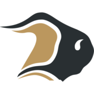 Logo Bison Transport, Inc.