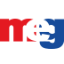 Logo Middle East Glass Manufacturing SAE