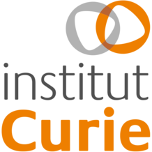 Logo Institut Curie
