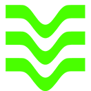 Logo Suomen Erillisverkot Oy