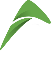 Logo AGSEP SpA