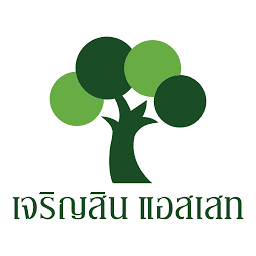 Logo Charoensin Asset Co. Ltd.