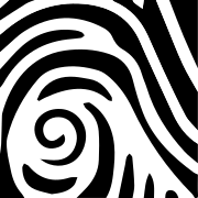 Logo Museum of New Zealand Te Papa Tongarewa