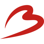 Logo Distributienet-Beheer Brussels Airport NV