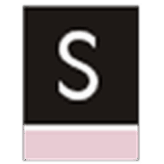 Logo Synoptics Ltd.