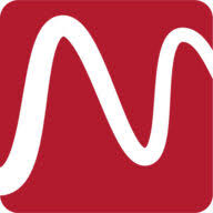 Logo Medis Medical Imaging Systems BV