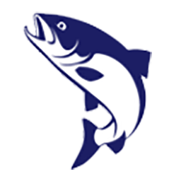 Logo Bolaks AS