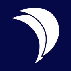 Logo DIPS AS
