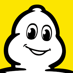 Logo Michelin Siam Co. Ltd.