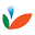 Logo Çamli Yem Besicilik Sanayii ve Ticaret AS