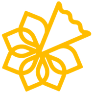 Logo Irish Cancer Society