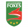 Logo Leicestershire County Cricket Club
