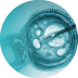 Logo Shanghai Sunway Biotech Co., Ltd.