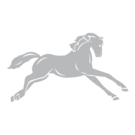 Logo Pacolet Milliken LLC