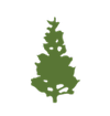 Logo Oregon Global Warming Commission