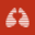 Logo Lung Biotechnology PBC