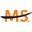 Logo Fast Forward LLC