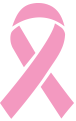 Logo Vera Bradley Foundation for Breast Cancer