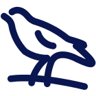Logo West Bromwich Albion Group Ltd.
