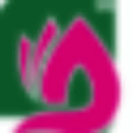 Logo Sara Vietnam JSC