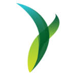 Logo Naseej BSC