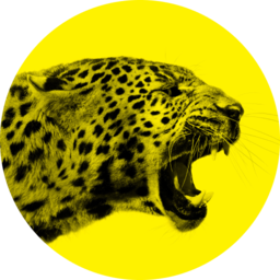 Logo Leopard Club