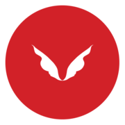 Logo The Visionaire Group, Inc.