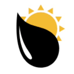 Logo Chase Foundation