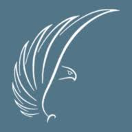 Logo Balondolozi Investment Services (Pty) Ltd.