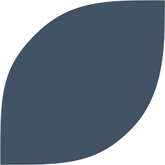 Logo Les Ingrédients Alimentaires BSA, Inc.